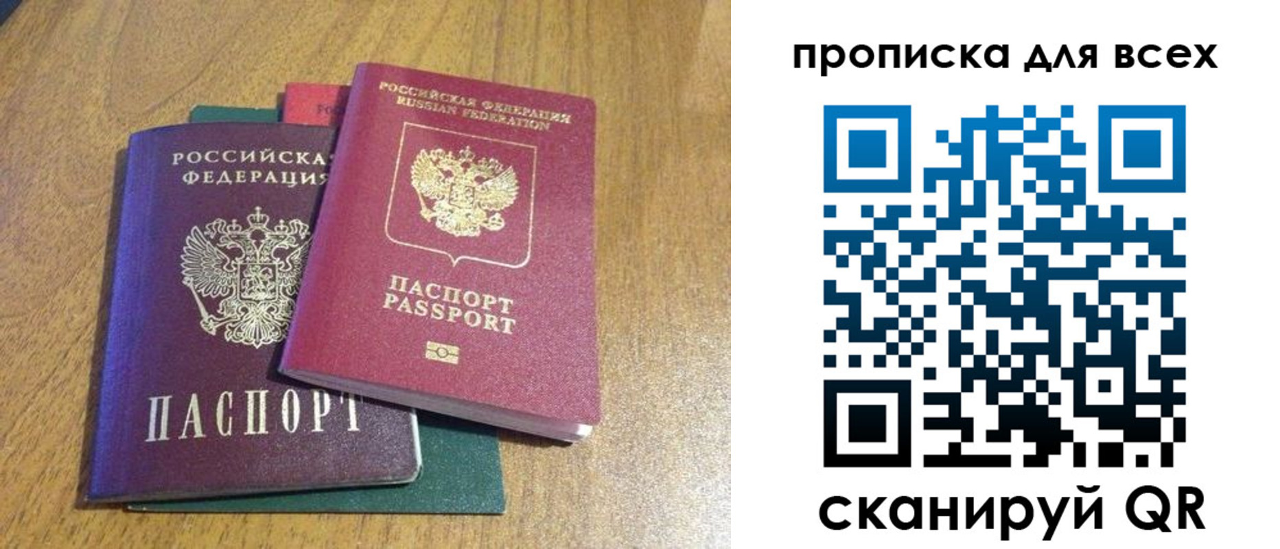 прописка гарантия в Сланцах